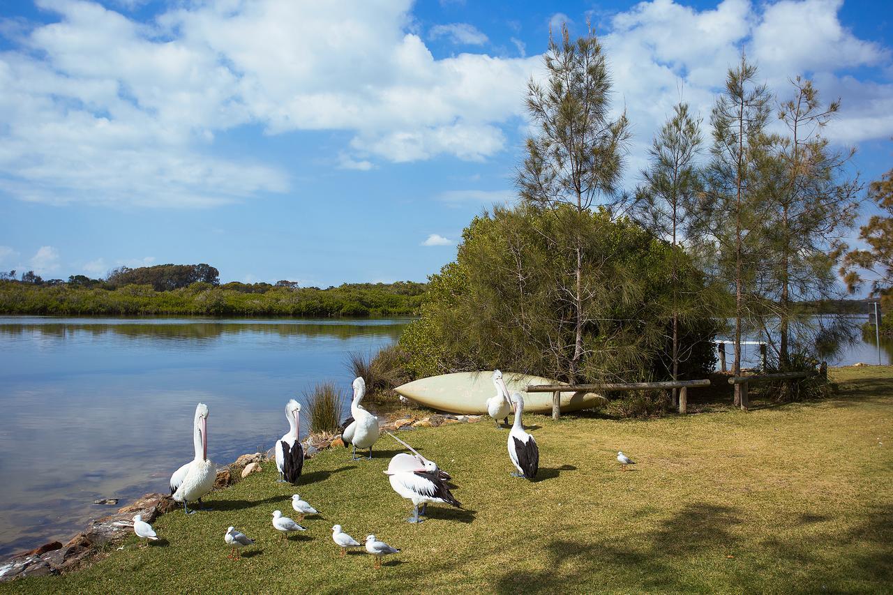 Stuarts Point Holiday Park Hotel Eksteriør billede